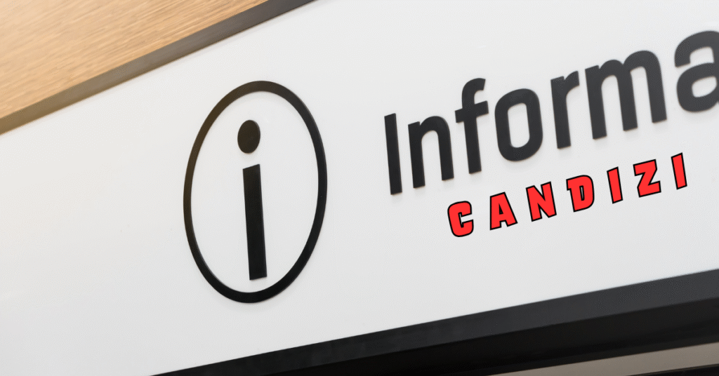 Candizi: A Complete Informational Guide