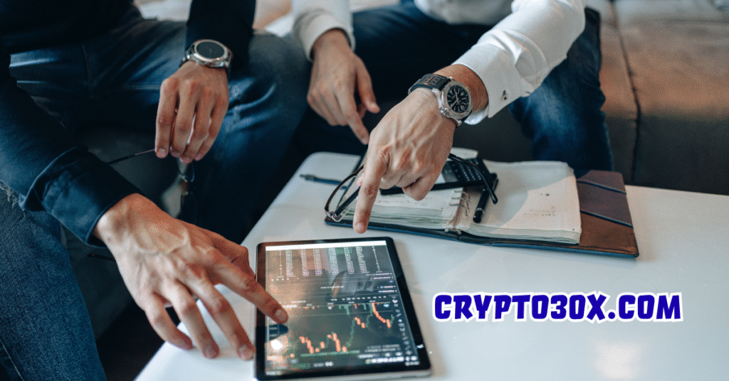 Crypto 30x.com: A Comprehensive Informational Guide with Insights, Strategies, and Future Potential