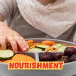 “Nourishment: A Complete Guide to Its Meaning, Importance, Science, and Modern Relevance”