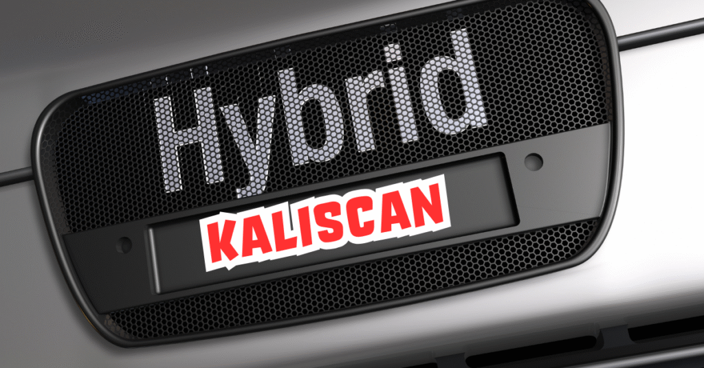Kaliscan