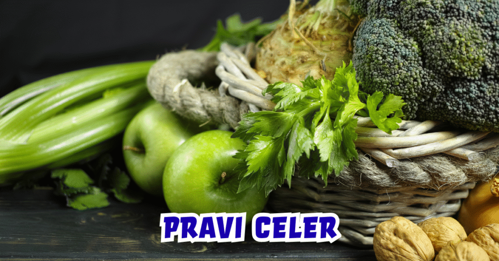 Pravi Celer