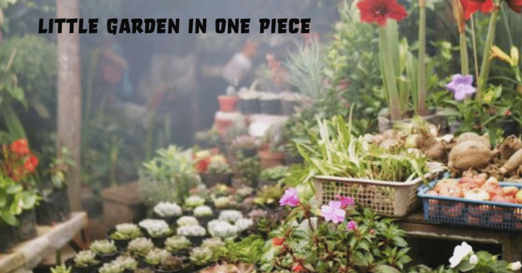 Little Garden in One Piece: A Comprehensive Exploration of the Prehistoric Island and Its Legendary Giants
