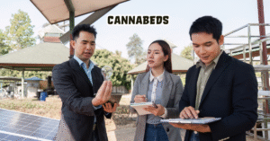 Cannabeds