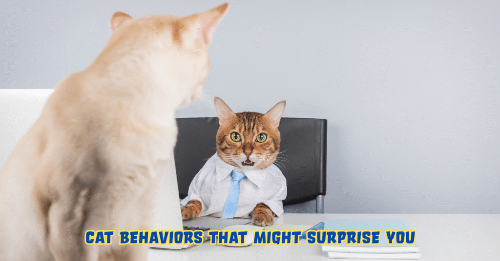 Decoding the Feline Mind: Unexpected Cat Behaviors That Reveal a Hidden World of Emotion and Intelligence