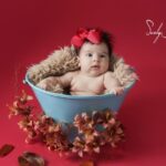 Foto Acompanhamento: The Ultimate Guide to Follow-up